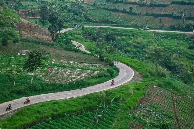 Wakil Presiden Ma'ruf Amin Dukung Pembangunan Jalur Puncak II, Efisiensi dan Perekonomian Terus Meningkat