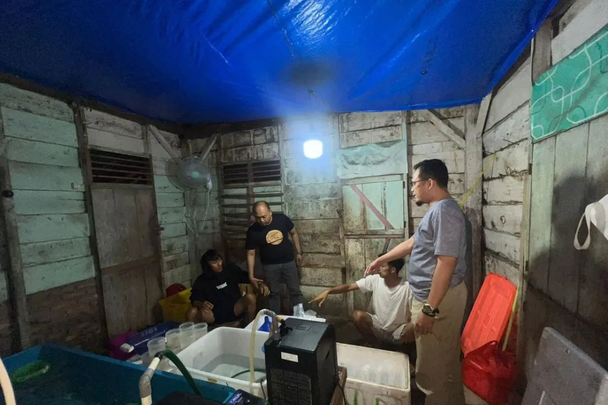 Personel kepolisian Polda Lampung Saat melakukan penggerebekan gudang penampungan benih lobster ilegal di Pesisir Barat. ( Foto: Humas Polda Lampung)