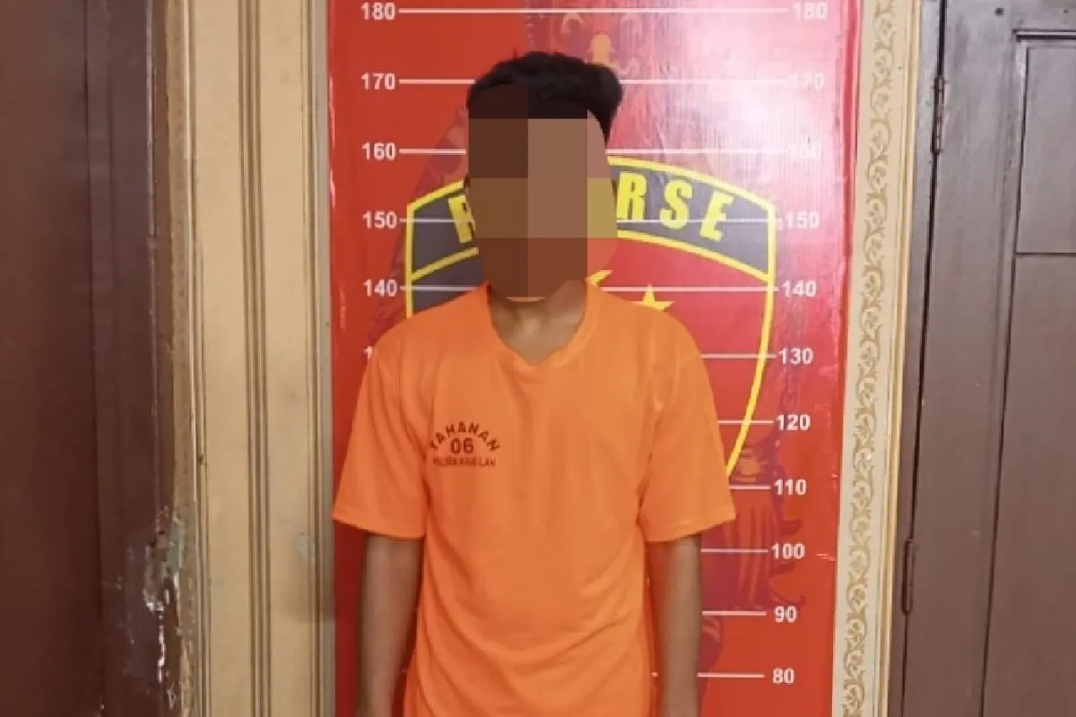 Polres Serang Grebek Toko Kosmetik di Jakarta Utara, Ribuan Pil Koplo Disita